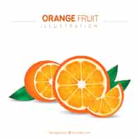 Vettore gratuito arancione frutta illustrazione