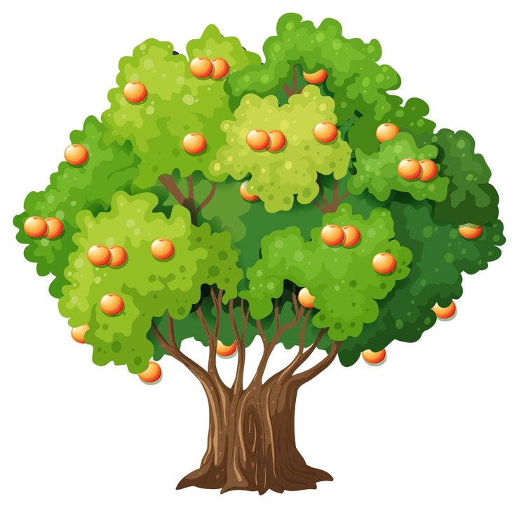 Free Vector orange fruit tree in cartoon style on white