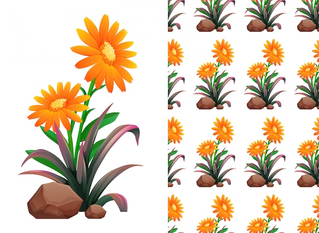 Free vector orange gerbera flowers pattern