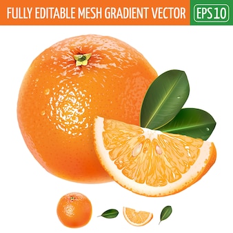 Orange illustration on white