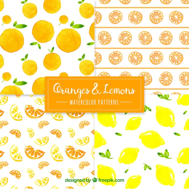 Orange and lemon patterns in watercolor style