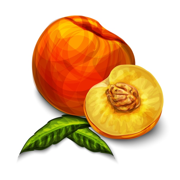 オレンジ天然有機桃の実