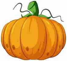 Free vector orange pumpkin in cartoon style on white background