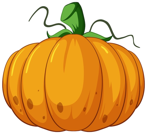 Orange pumpkin in cartoon style on white background