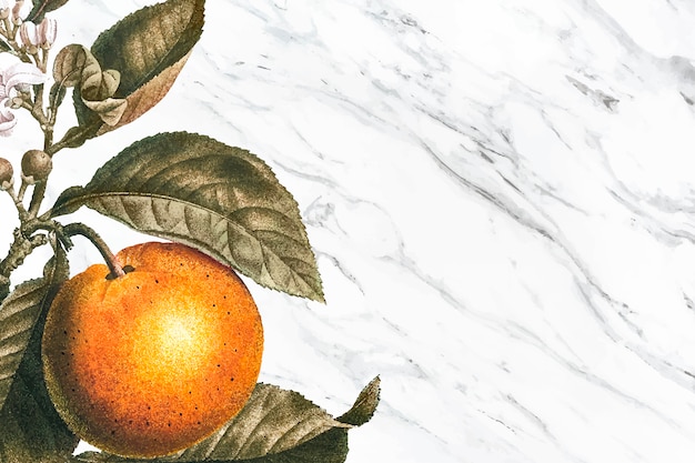 Бесплатное векторное изображение Фон апельсинового дерева