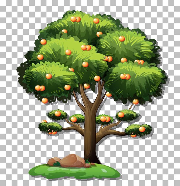 Free vector orange tree on transparent background