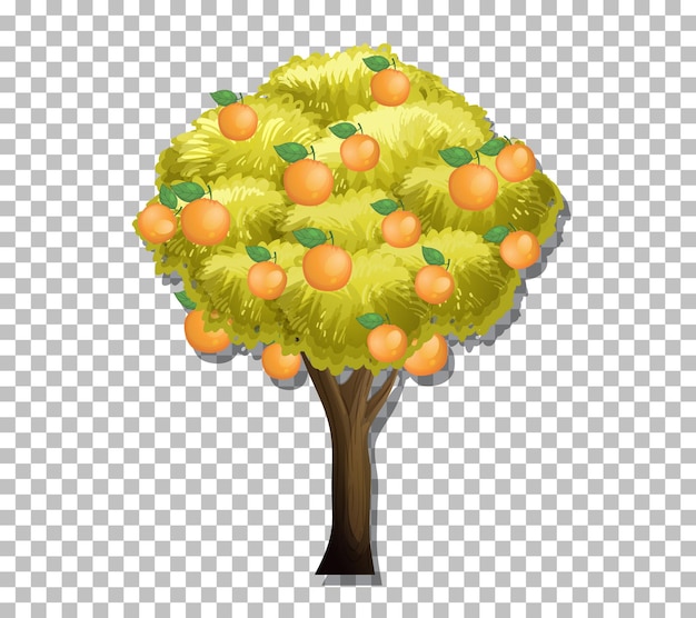 Free vector orange tree on transparent background