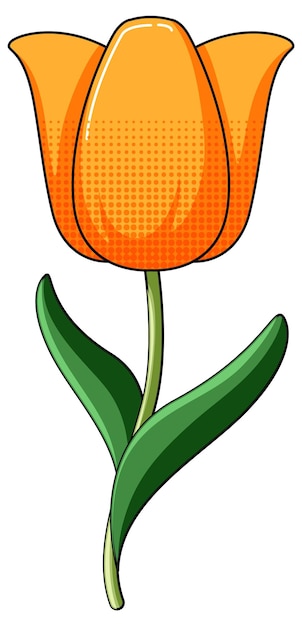 Бесплатное векторное изображение Оранжевый тюльпан с зелеными листьями