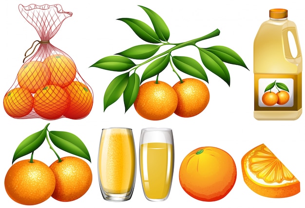 Oranges and orange products illustration