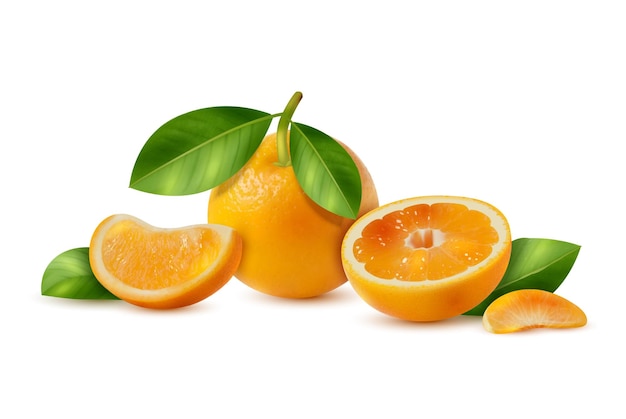 Апельсины реалистичные иллюстрации