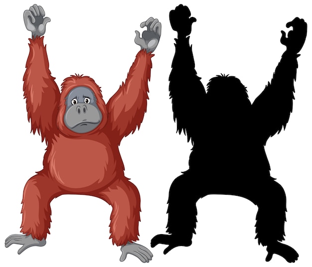 Orangutan characters and its silhouette on white background