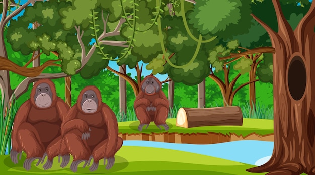 Орангутанг в лесу или сцена тропического леса с множеством деревьев