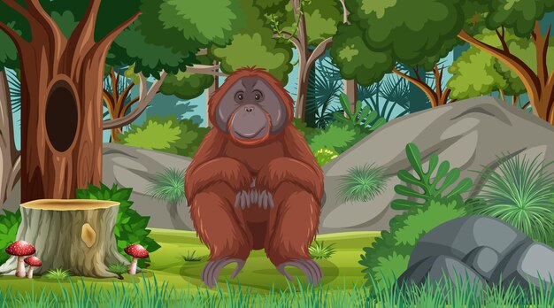 Orangutan in forest or rainforest scene with many trees