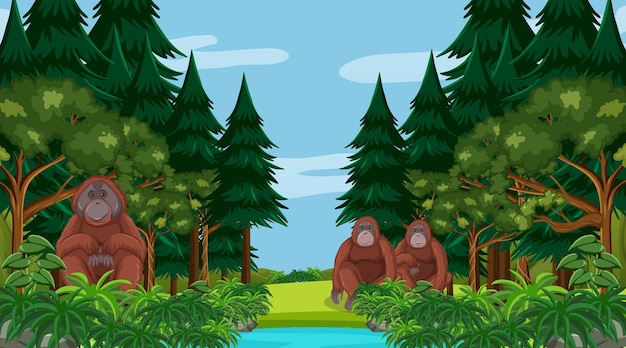 Orangutan in forest or rainforest scene with many trees