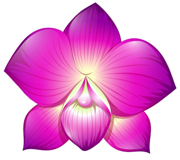 Орхидея в фиолетовом цвете