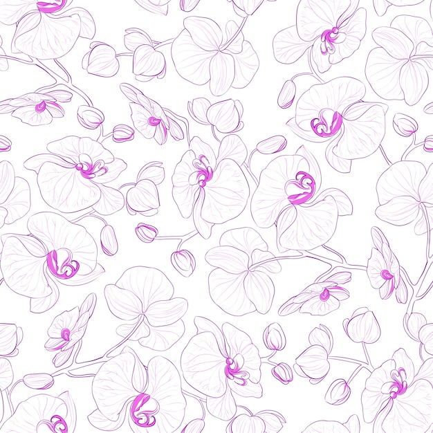 Orchid seamless pattern.
