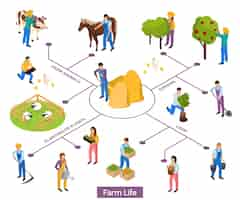 Free vector ordinary farmers life isometric composition flowchart with isolated human characters and of plants and animals