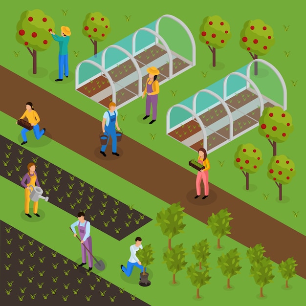 Бесплатное векторное изображение Обычные фермеры жизни изометрической композиции с человеческими характерами зеленых людей в форме с растениями и теплицы