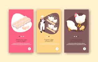 Free vector organic eggs and chicken meat production 3 isometric vertical poultry farm colorful background banners isolated