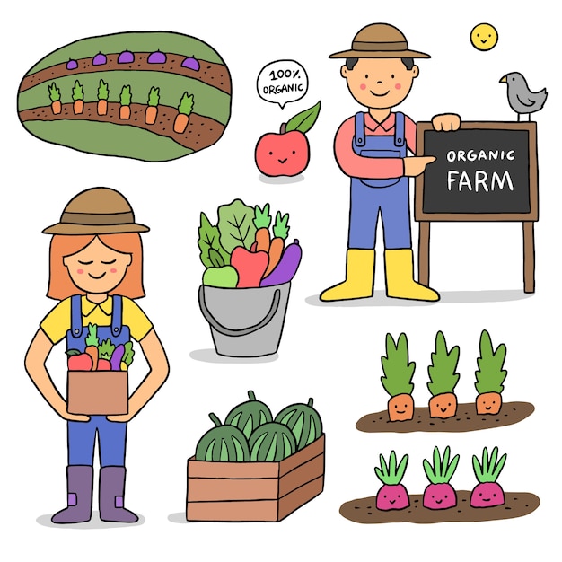 Free vector organic farming design for illustration