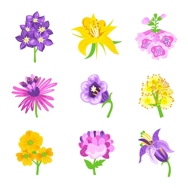 Free vector organic flat design flower collection