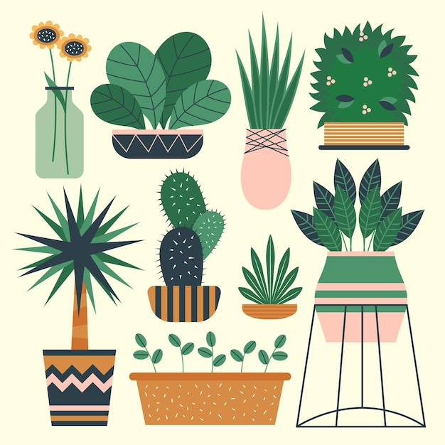 Organic flat design houseplant collection