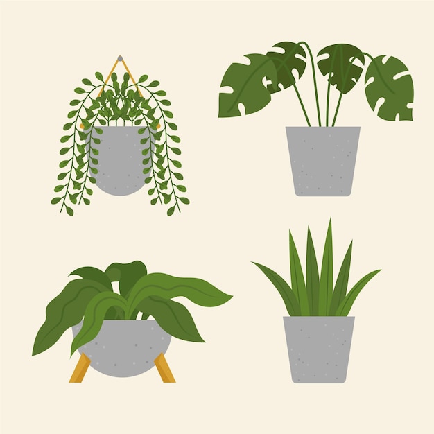 Free vector organic flat design houseplant collection