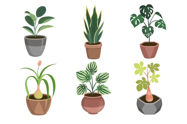 유기 평면 디자인 관엽 식물 컬렉션