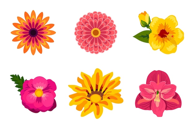 Organic flat flower collection