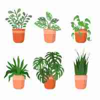 Free vector organic flat houseplant collection