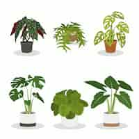 無料ベクター 有機フラット観葉植物コレクション