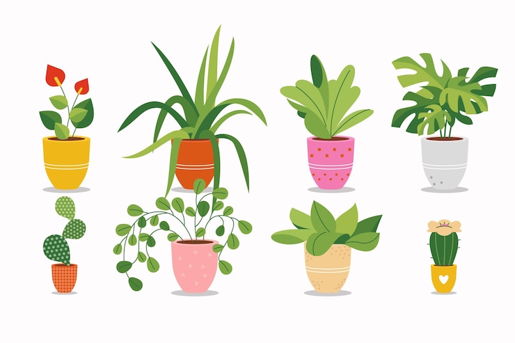 Free Vector organic flat houseplant collection