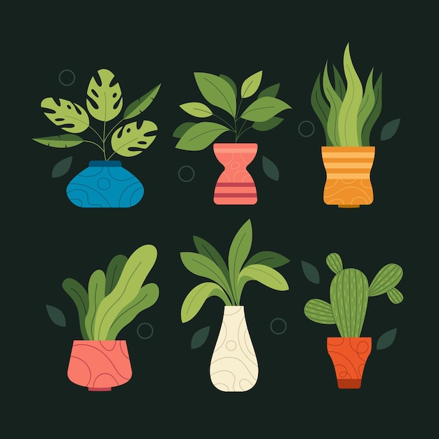 Organic flat houseplant collection