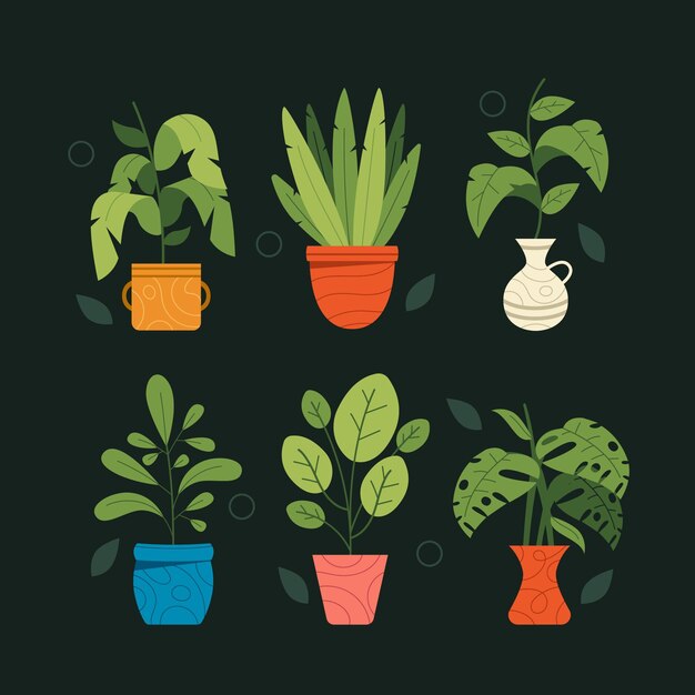 Organic flat houseplant collection