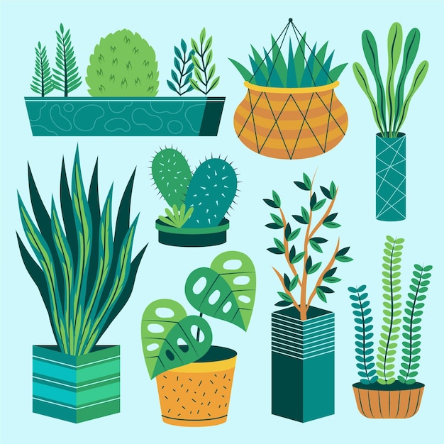 Free vector organic flat houseplant collection