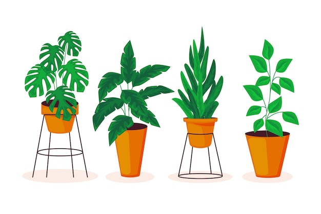 Organic flat houseplant collection