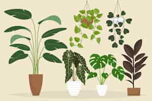 Free vector organic flat houseplant collection