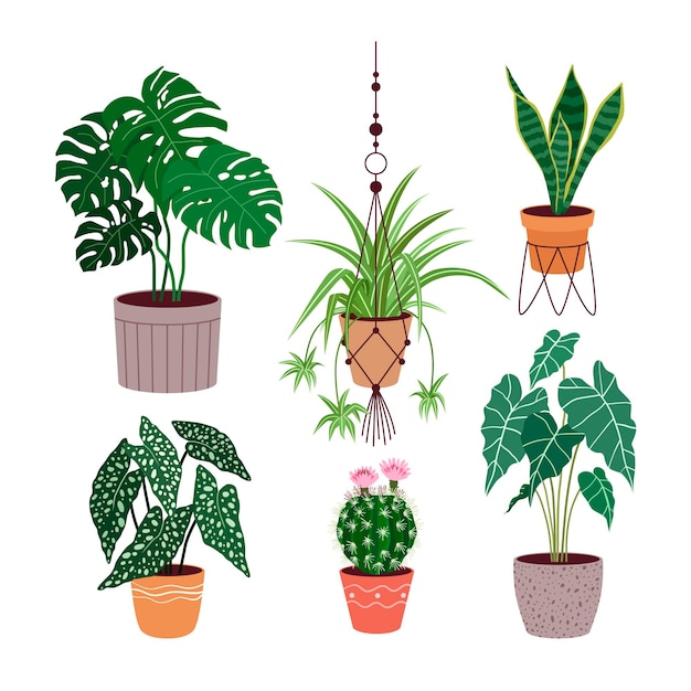 Free vector organic flat houseplant collection