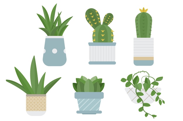 Free vector organic flat houseplant collection