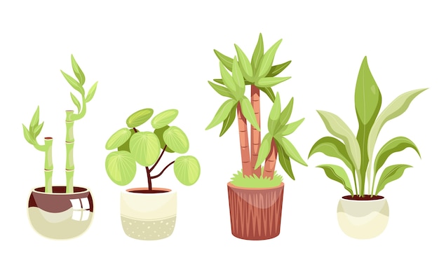 유기 평면 관엽 식물 컬렉션