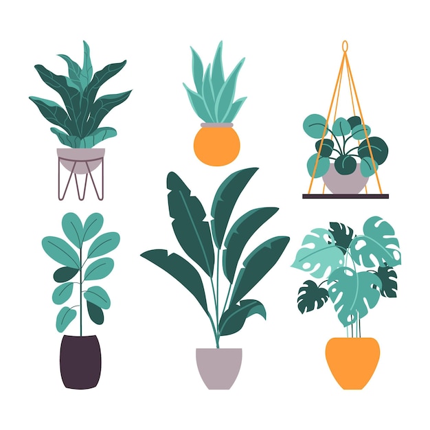 Free vector organic flat houseplant collection