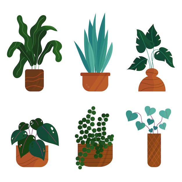 Free vector organic flat houseplant collection