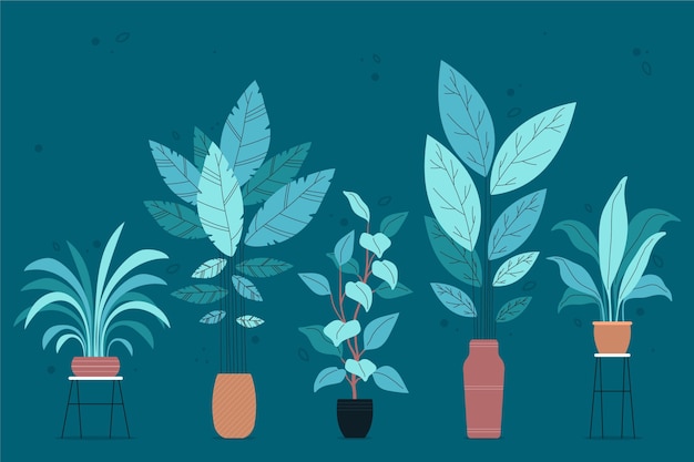 Бесплатное векторное изображение Коллекция органических плоских комнатных растений