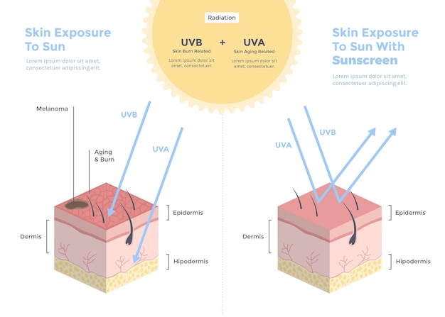 Free vector organic flat sun protection infographic