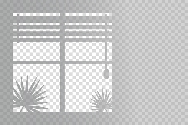 Free vector organic and jalousie shadows for natural light effects