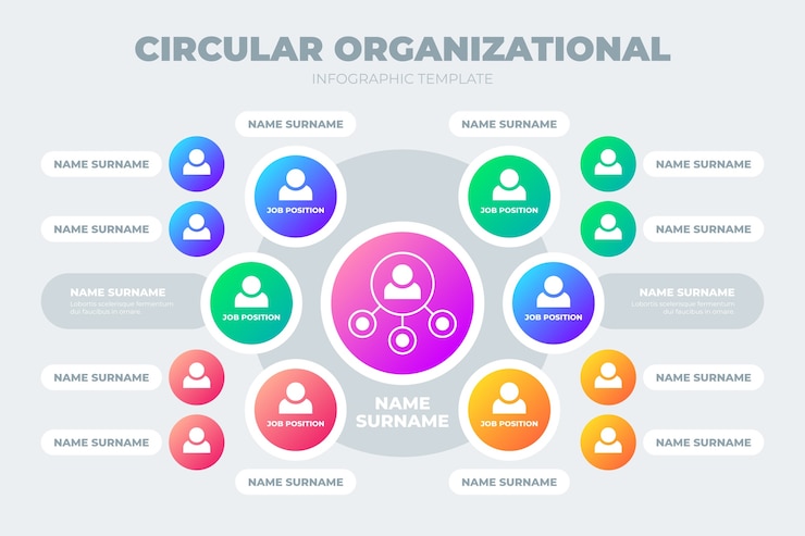 Free Vector organizational chart infographic design