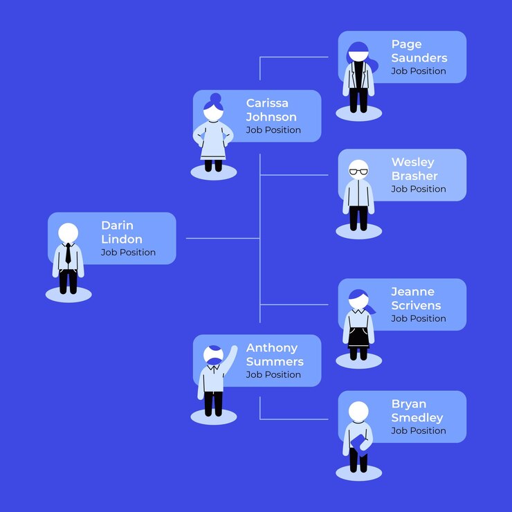 Free Vector organizational chart infographic