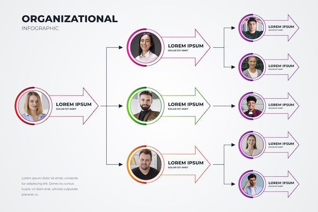 Free vector organizational chart with photo