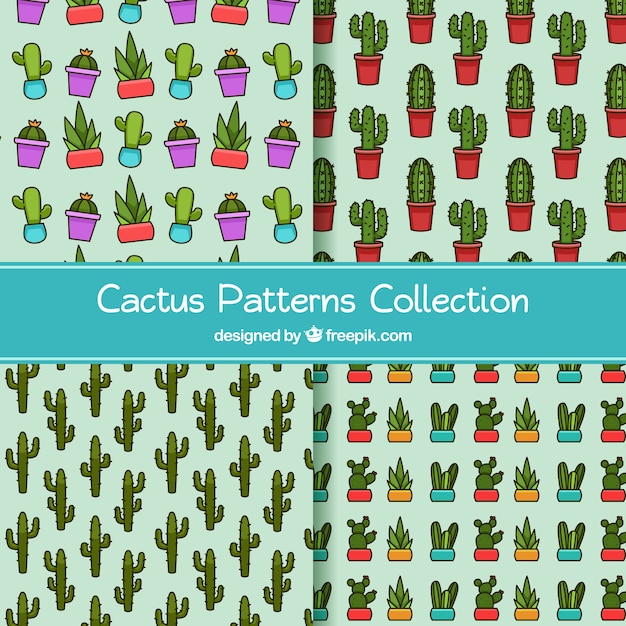 Free vector original variety of cactus patterns