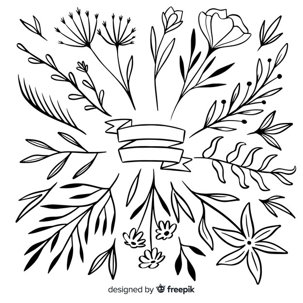 Ornamental leaves and flower collection hand-drawn